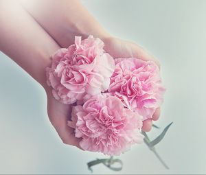 Превью обои гвоздики, цветы, руки, розовый