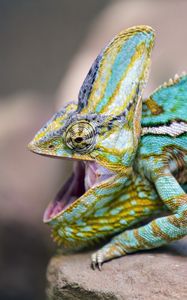 Превью обои хамелеон, ящерица, рептилия, узор, бирюзовый