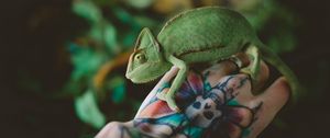 Превью обои хамелеон, ящерица, татуировка, рука, рептилия, зеленый