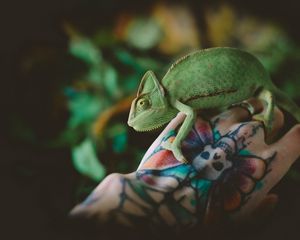 Превью обои хамелеон, ящерица, татуировка, рука, рептилия, зеленый