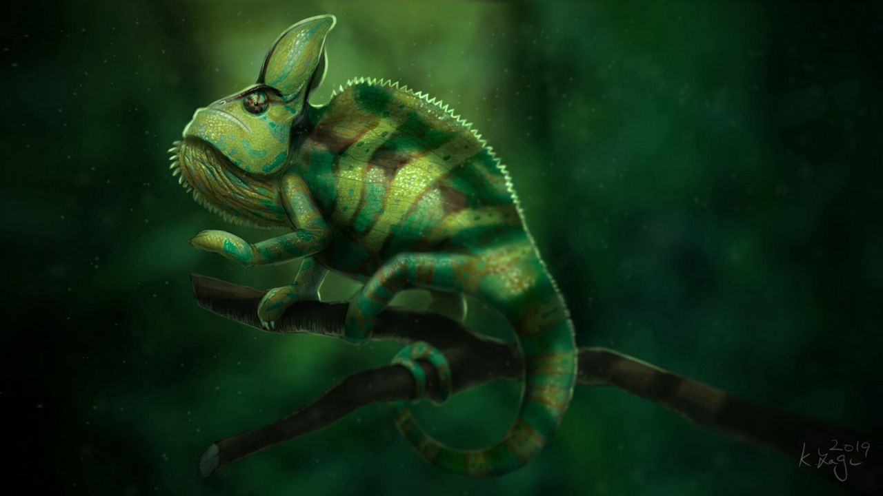 Обои хамелеон, ящерица, зеленый, ветка, арт