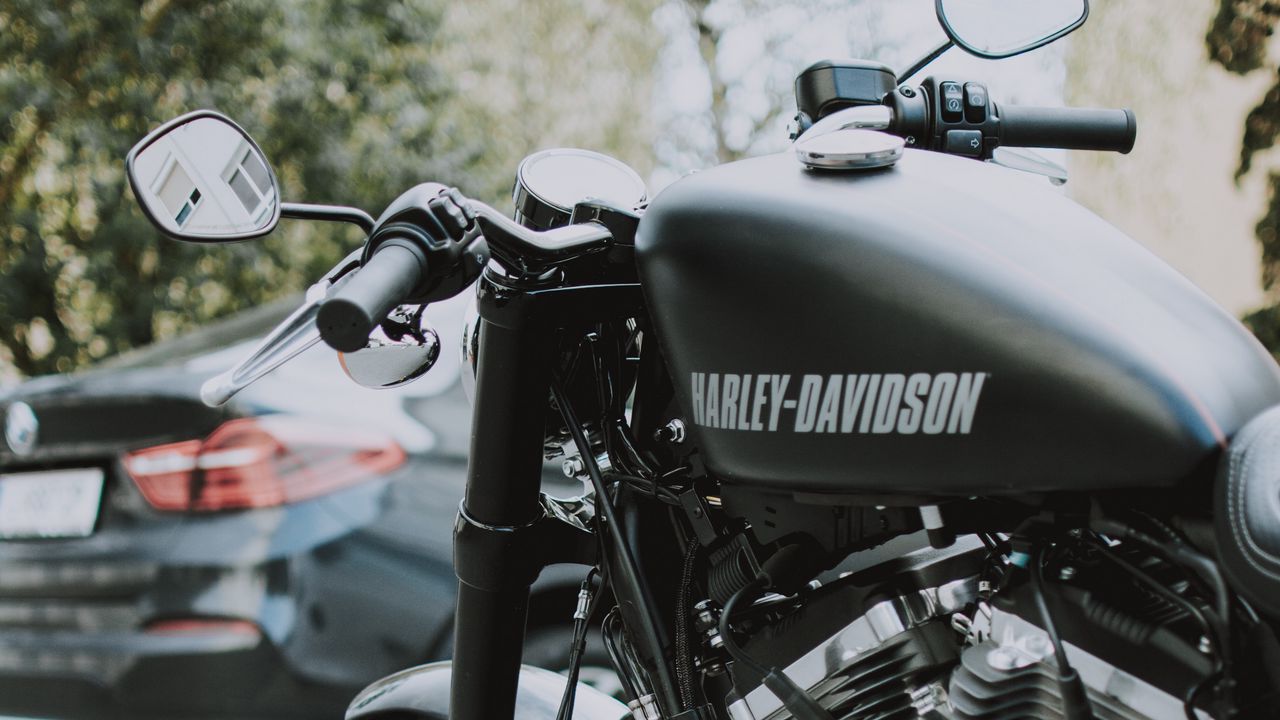 Обои harley-davidson, мотоцикл, байк, черный, вид сбоку