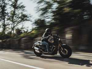 Превью обои harley-davidson, мотоцикл, байк, байкер, дорога, скорость