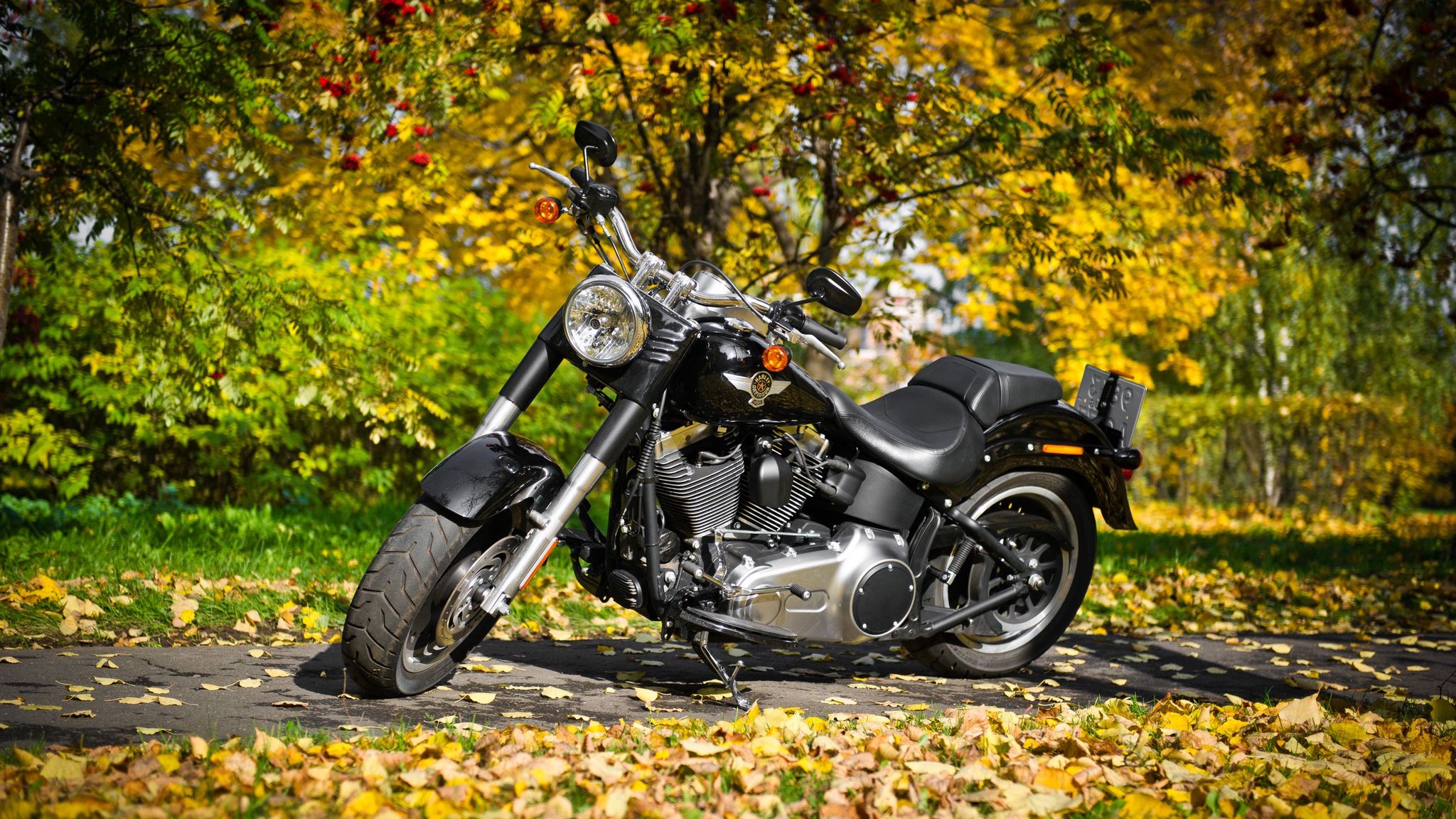 Harley Davidson 4k