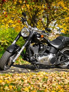 Превью обои harley-davidson, мотоцикл, листва, осень