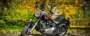 Превью обои harley-davidson, мотоцикл, листва, осень