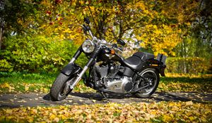 Превью обои harley-davidson, мотоцикл, листва, осень