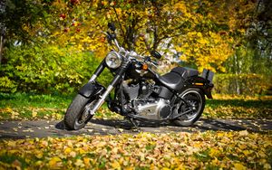 Превью обои harley-davidson, мотоцикл, листва, осень