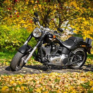 Превью обои harley-davidson, мотоцикл, листва, осень