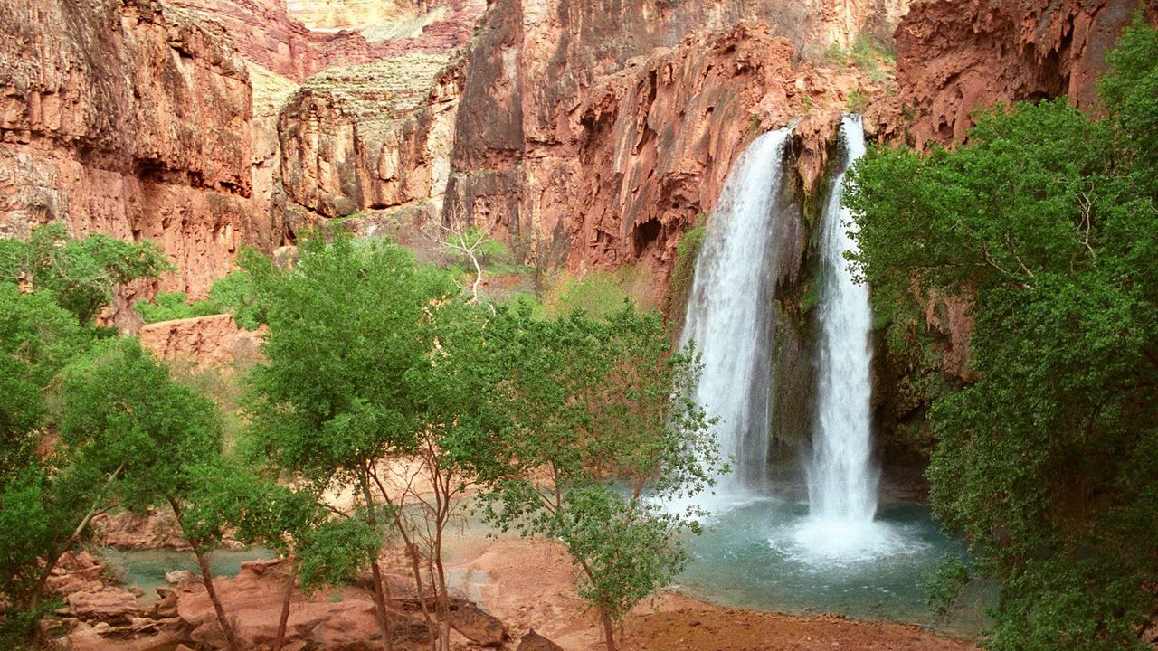 Обои havasu falls, аризона, водопад, каньон, деревья, зелень