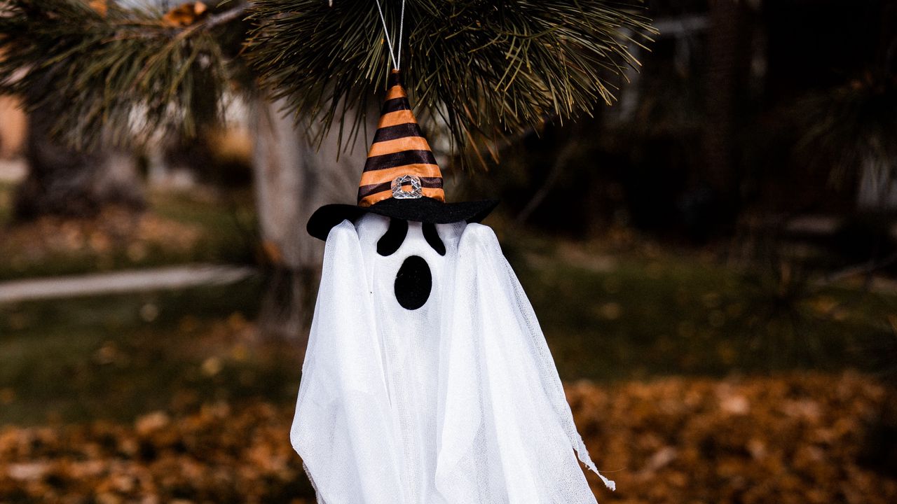 Обои хэллоуин, призрак, шляпа, праздник, осень
