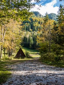 Превью обои хижина, дорога, деревья, гора, природа