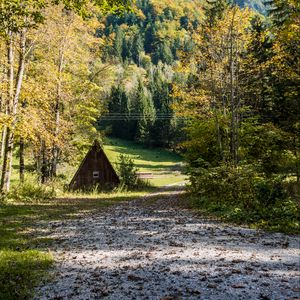 Превью обои хижина, дорога, деревья, гора, природа