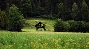 Превью обои хижина, кусты, трава, лес