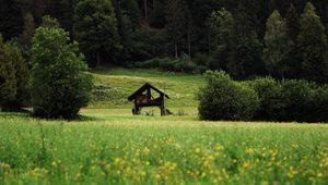 Превью обои хижина, кусты, трава, лес