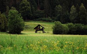 Превью обои хижина, кусты, трава, лес