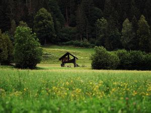 Превью обои хижина, кусты, трава, лес