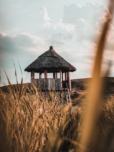 Превью обои хижина, здание, деревянный, трава