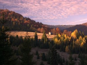 Превью обои хижина, здание, лес, деревья, небо, облака