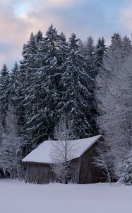 Превью обои хижина, зима, снег, лес, природа