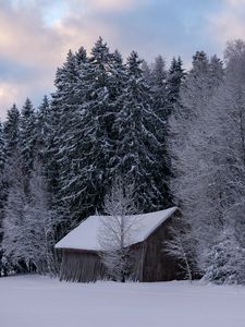 Превью обои хижина, зима, снег, лес, природа