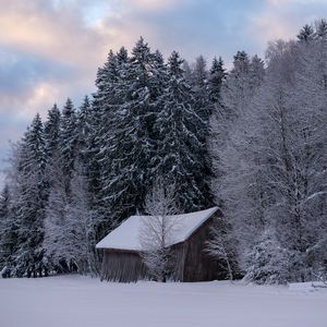 Превью обои хижина, зима, снег, лес, природа