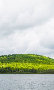 Превью обои холм, деревья, лес, река, небо, облака