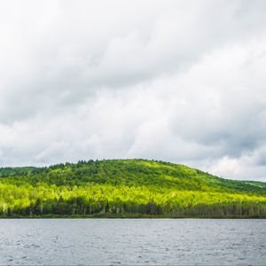 Превью обои холм, деревья, лес, река, небо, облака