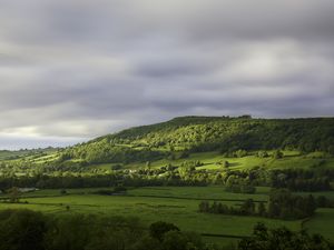 Превью обои холм, деревья, лес, луг, трава