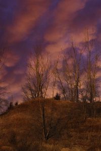 Превью обои холм, деревья, облака, небо, закат, пейзаж