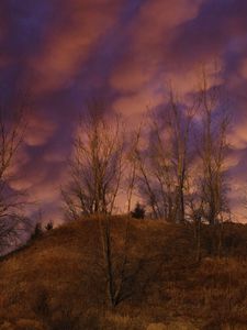Превью обои холм, деревья, облака, небо, закат, пейзаж