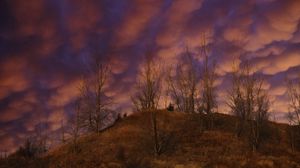 Превью обои холм, деревья, облака, небо, закат, пейзаж