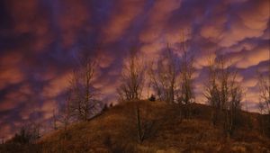 Превью обои холм, деревья, облака, небо, закат, пейзаж