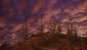 Превью обои холм, деревья, облака, небо, закат, пейзаж