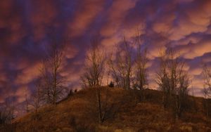 Превью обои холм, деревья, облака, небо, закат, пейзаж