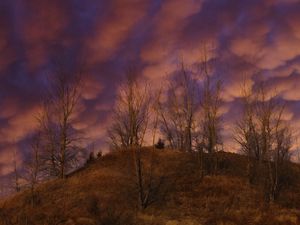 Превью обои холм, деревья, облака, небо, закат, пейзаж