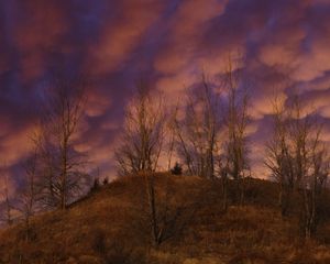 Превью обои холм, деревья, облака, небо, закат, пейзаж
