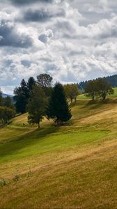 Превью обои холм, деревья, поле, природа, пейзаж