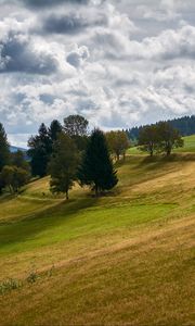 Превью обои холм, деревья, поле, природа, пейзаж