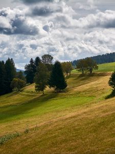 Превью обои холм, деревья, поле, природа, пейзаж