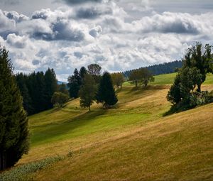 Превью обои холм, деревья, поле, природа, пейзаж