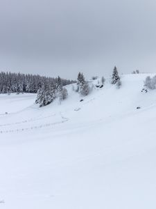 Превью обои холм, деревья, снег, зима