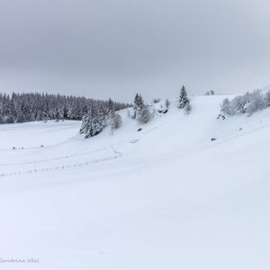 Превью обои холм, деревья, снег, зима