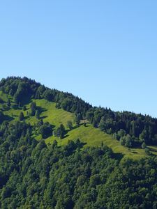 Превью обои холм, деревья, зелень, природа