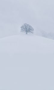 Превью обои холм, дерево, снег, зима, белый