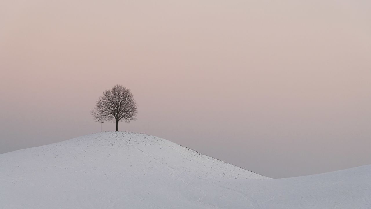 Обои холм, дерево, снег, зима, сумерки