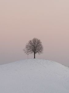 Превью обои холм, дерево, снег, зима, сумерки