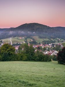 Превью обои холм, город, трава, кусты