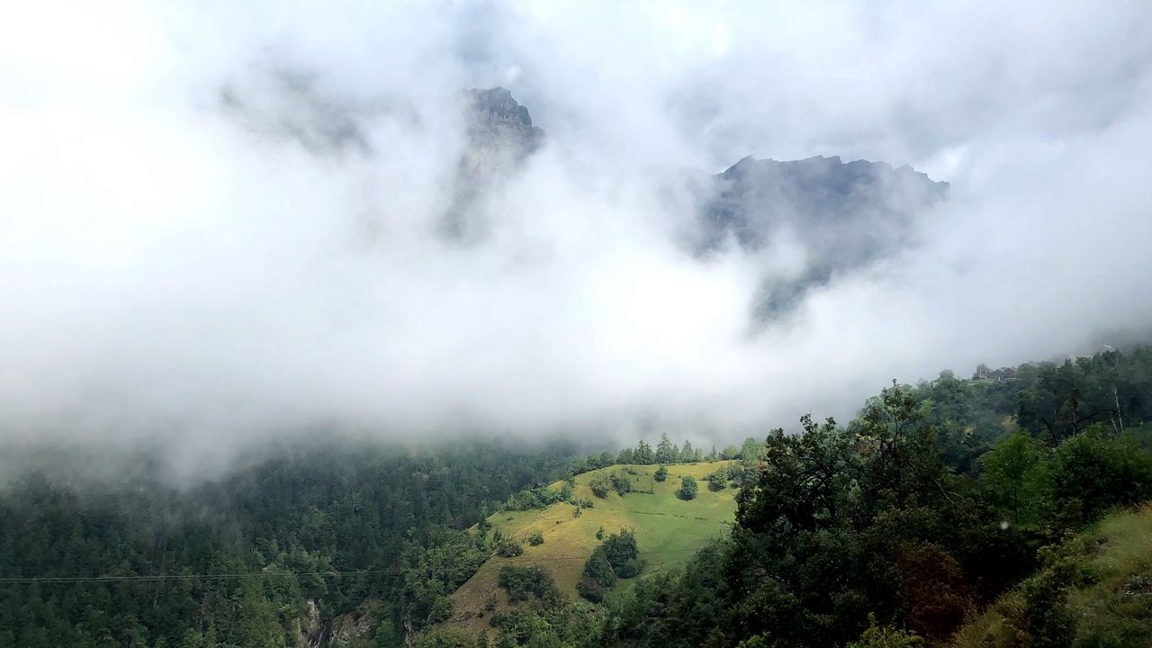 Обои холм, горы, деревья, туман, облака, пейзаж