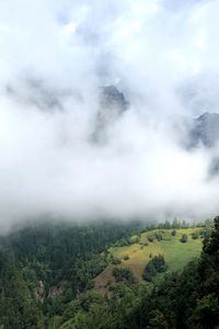 Превью обои холм, горы, деревья, туман, облака, пейзаж